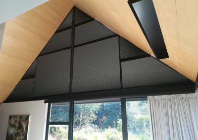 Lumicell Blinds